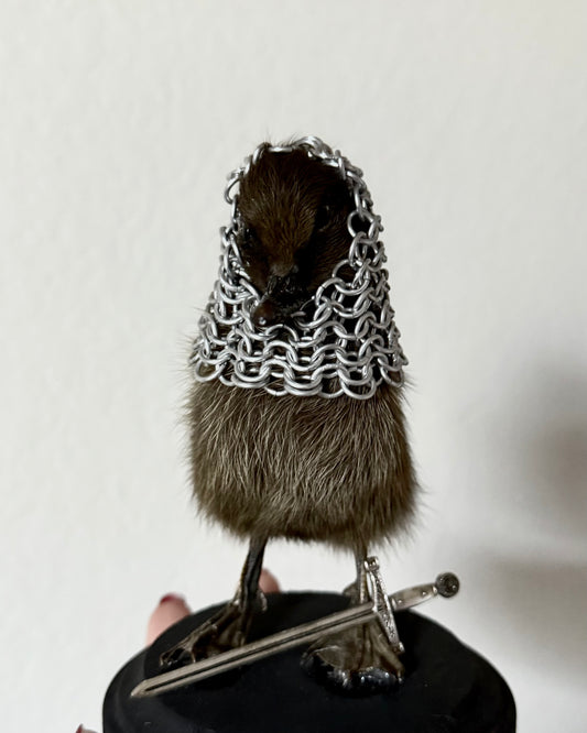 Warrior Chainmail Armored Duckling