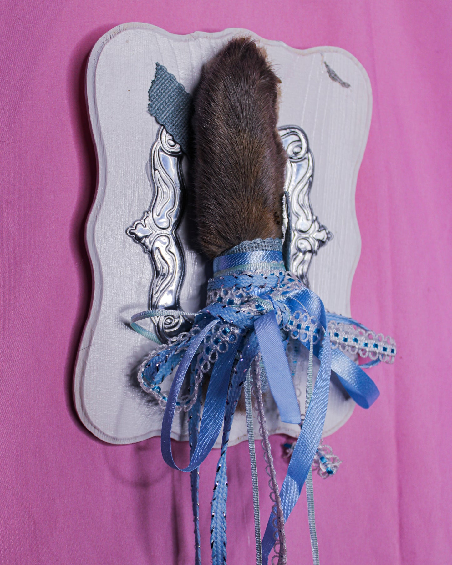 Bunny Paw display