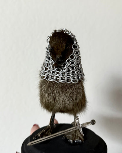 Warrior Chainmail Armored Duckling