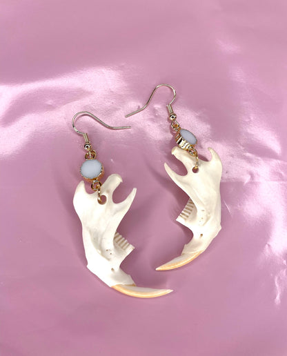 Muskrat Mandible and white jade crystal connectors gold earrings